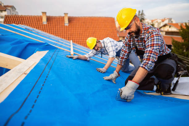 Best Metal Roofing Contractor  in Pascoag, RI